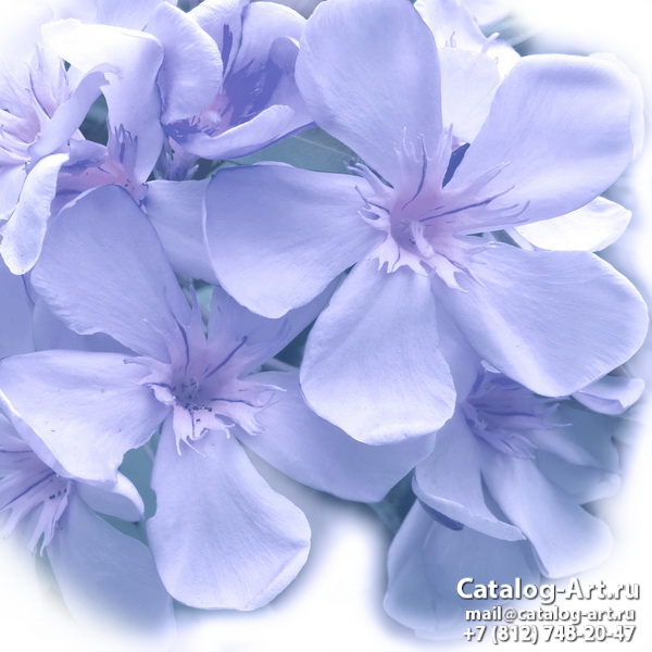 Натяжные потолки с фотопечатью - Голубые цветы 37